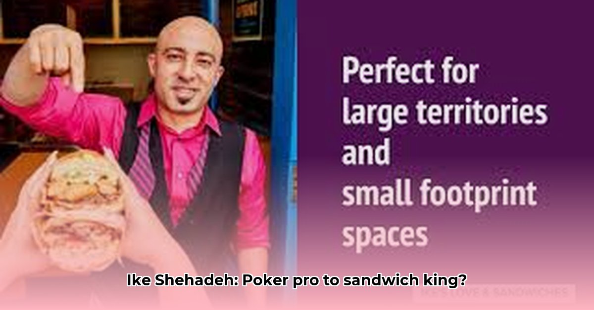 ike-shehadeh-net-worth